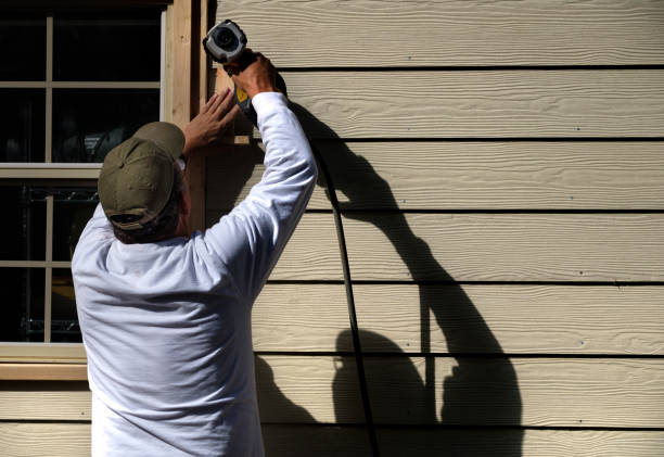 Best Vinyl Siding Installation  in Nellieburg, MS